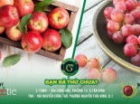 [EVENT]: GIỚI THIỆU SẢN PHẨM MỚI - TÁO SWEETIE