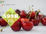 BẠN ƠI CHERRY NGỌT GIÒN CỨNG TRÁI