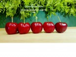 BIG SALE CHERRY ĐỎ  MỸ GIÁ  449K/KG .