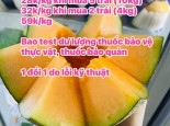 Big sale chỉ 25k/kg khi mua thùng 30kg. 28k/kg khi mua 5 trái , 32k/kg khi mua 2 trái , bán lẻ 59k/kg