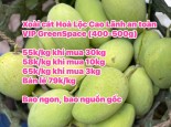 Big sale Xoài Cát Hòa Lộc an toàn VIP GreenSpace chỉ 55k/kg khi mua thùng 30kg. 58k/kg khi mua 10kg , 65k/kg khi mua 3kg, bán lẻ 79k/kg