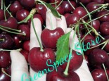 CHERRY ÚC CHÍNH NGẠCH CAO CẤP CHỈ 339K/1KG