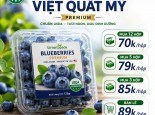 CHƯƠNG TRÌNH KHUYẾN MÃI GREENSPACE – VIỆT QUẤT MỸ PREMIUM CHUẨN USDA 