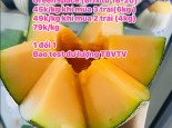 Dưa Lưới Đế Mật an toàn Premium GreenSpace bao test dư lượng thuốc bảo vệ thực vật và thuốc bảo quản