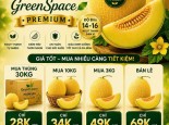 DƯA LƯỚI GOLDEN GREENSPACE PREMIUM CHỈ TỪ 28K/KG