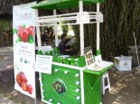 GREENSPACE STORE BẤT NGỜ XUẤT HIỆN TẠI  KHU DU LỊCH BẾN XƯA