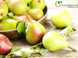 LÊ XANH MỸ (GREEN ANJOU PEAR) ĐÃ CẬP CẢNG HCM