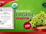 Nho Xanh Phù Thủy Organic Lần Đầu Tiên Về Việt Nam