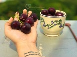 VÌ ĐÂU CHERRY MỸ CỦA GSS LUÔN HẾT HÀNG RẤT NHANH?