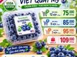 Việt Quất Mỹ chuẩn USDA Premium chỉ từ 75k/hộp 125gr