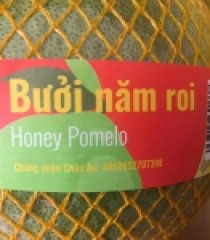 BƯỞI 5 ROI CHUẨN GLOBAL GAP