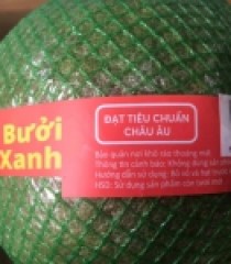 BƯỞI DA XANH CHUẨN GLOBAL GAP