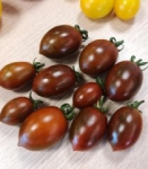 CÀ CHUA CHOCOLATE ORGANIC
