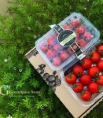 CÀ CHUA QUEEN HOKKAIDO