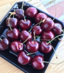 CHERRY BING
