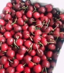 CHERRY ĐỎ ÚC
