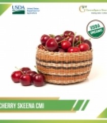CHERRY SKEENA CMI