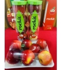 COMBO 7 TRÁI TÁO ,ROCKIT XÁ NEW ZEALAND