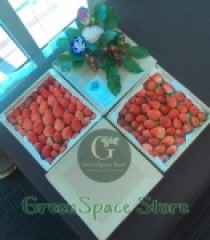 DÂU TÂY ORGANIC  VN- NEW ZEALAND / HỘP 