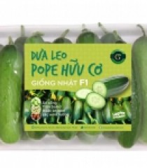DƯA LEO HỮU CƠ  POPE GIỐNG NHẬT F1 GREENSPACE STORE