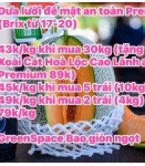 Dưa Lưới Đế Mật an toàn Premium GreenSpace