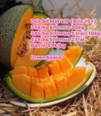 Dưa Lưới Đế Mật an toàn VIP GreenSpace