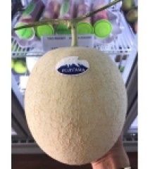 DƯA LƯỚI NHẬT HỮU CƠ FUJI