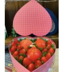 GIỎ QUÀ TRÁI CÂY GFME 10