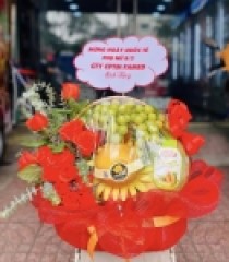 GIỎ QUÀ TRÁI CÂY GFSM 03