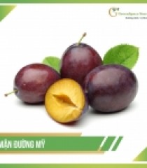 MẬN ĐƯỜNG MỸ