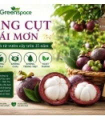 MĂNG CỤT AN TOÀN CÁI MƠN GREENSPACE