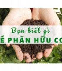 PHÂN BÓN HỮU CƠ LÀ GÌ ?