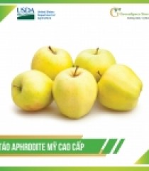 TÁO APHRODITE (TÁO VÀNG) - MỸ