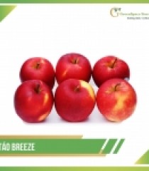 TÁO BREEZE