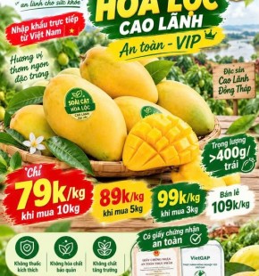XOÀI CÁT HÒA LỘC CAO LÃNH AN TOÀN VIP GREENSPACE