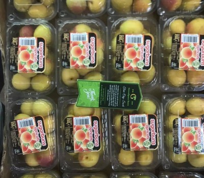 MƠ THỔ NHỸ KỲ