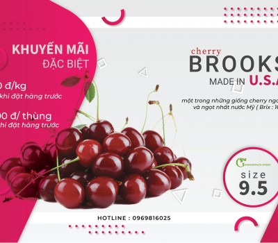 Cherry Đỏ Mỹ (Carol & Royal)
