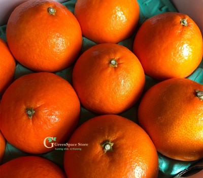 CAM VÀNG ORGANIC NHẬT BẢN