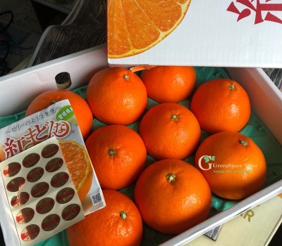 CAM VÀNG ORGANIC NHẬT BẢN