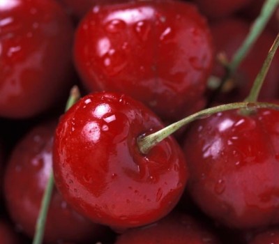Cherry đỏ Mỹ 