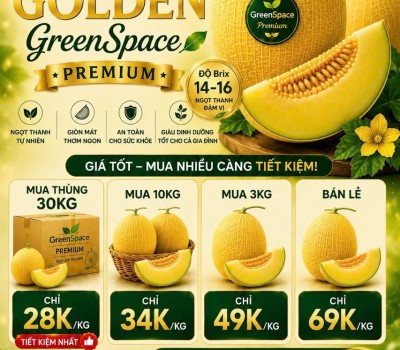 Dưa Lưới Golden GreenSpace Premium