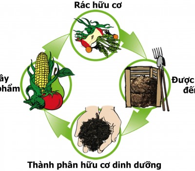 CÁCH BỔ SUNG CÁC CHẤT DINH DƯỠNG CHO CÂY TRỒNG HỮU CƠ