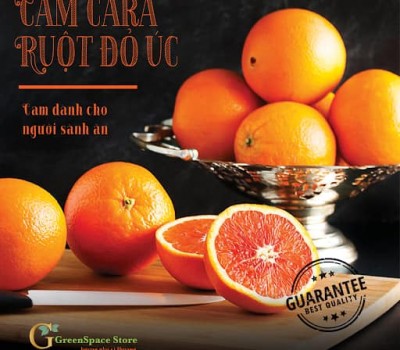 CAM CARA TÚI ÚC