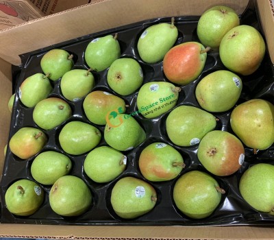 LÊ XANH MỸ (GREEN ANJOU PEAR)