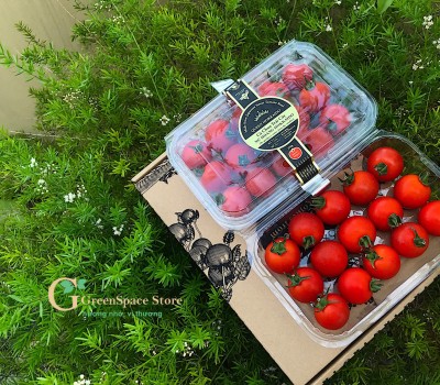 CÀ CHUA QUEEN HOKKAIDO