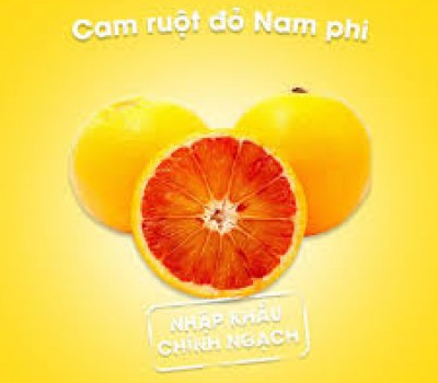 CAM CARA RUÔT ĐỎ NAM PHI