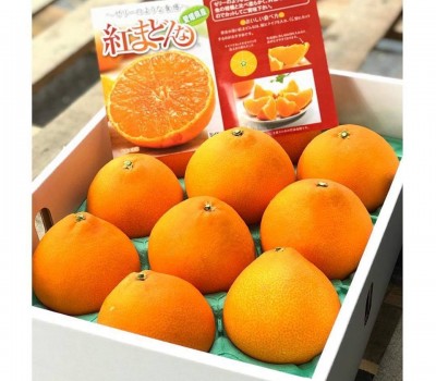 CAM VÀNG ORGANIC NHẬT BẢN