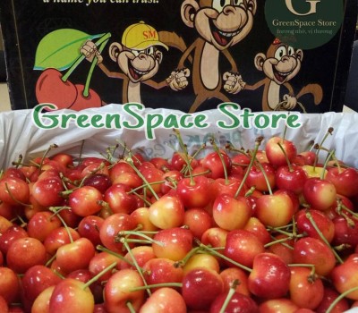CHERRY VÀNG BINGS MỸ 