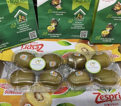 COMBO KIWI VÀNG NEW ZEALAND 4 TRÁI