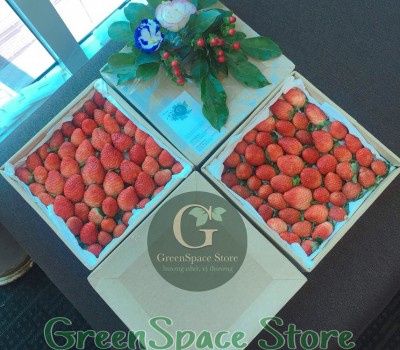 DÂU TÂY ORGANIC  VN- NEW ZEALAND / HỘP 